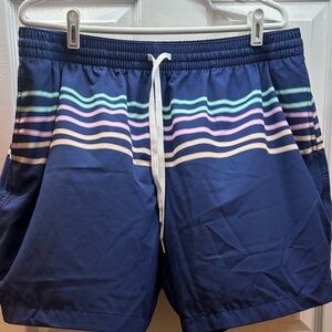 Chubbies Navy Swim Shorts with Multicolor Stripes